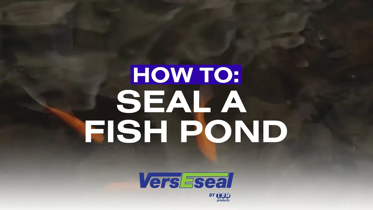Thumbnail for video ‘How to: Seal a Fish Pond’ showing VersEseal waterproofing applied inside a pond.