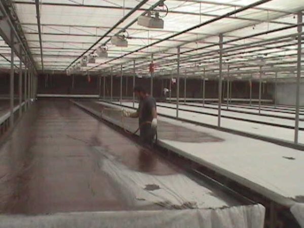 Agriculture Nurseries